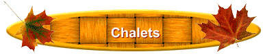 Company Header